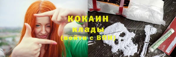 сатива Белокуриха