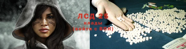 крисы Беломорск