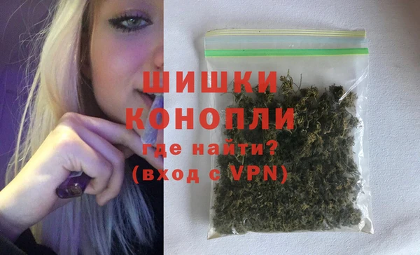 сатива Белокуриха